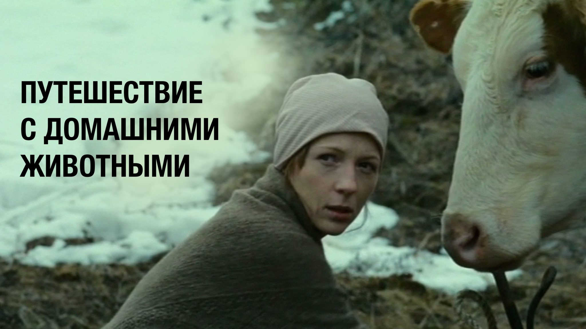 «ПУТЕШЕСТВИЕ С ДОМАШНИМИ ЖИВОТНЫМИ» - Первый канал "Евразия"