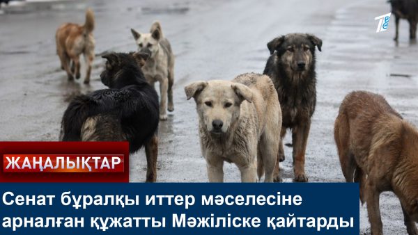 Жануарларға қатысты заңды жұмсарту керек