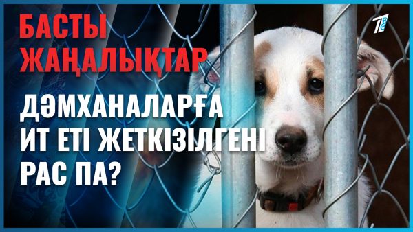 5 жастағы қызды ит талап тастады