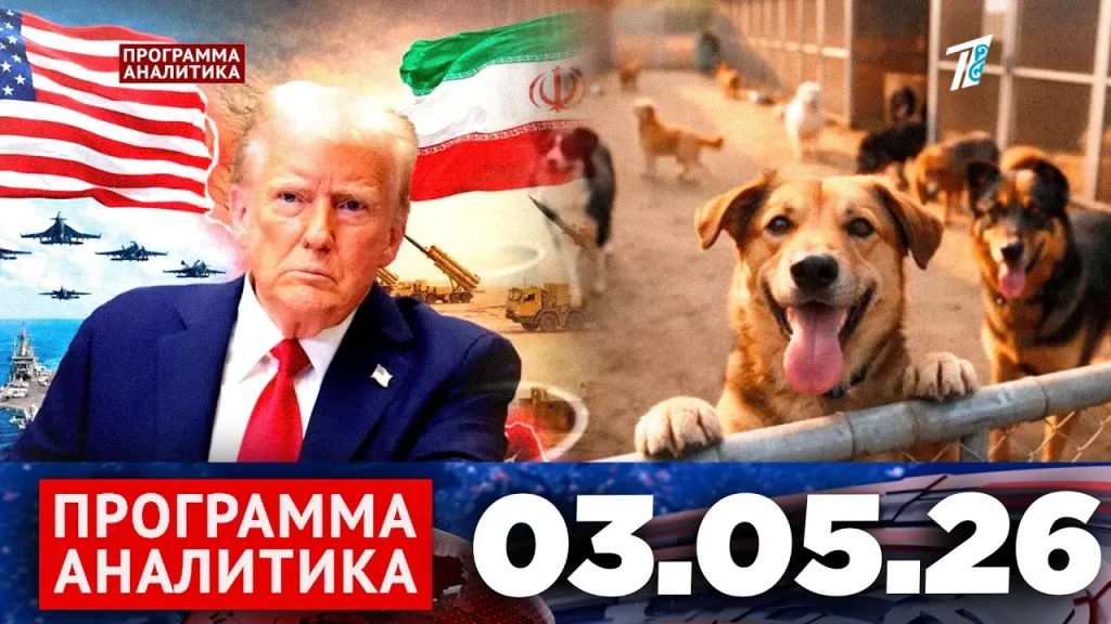 Программа «Аналитика» 03.05.26