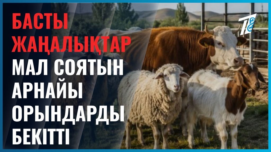 Аулада мал союға бола ма?