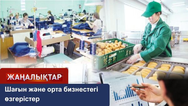 Шағын және орта бизнестегі өзгерістер