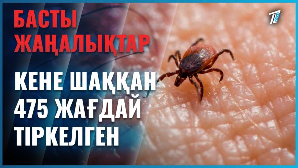 Кене қаптаған қала