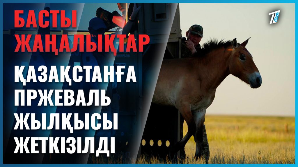 Пржеваль жылқысы атамекеніне жеткізілді