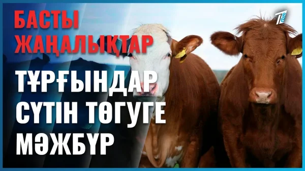 Ақ сүт төгілген ауыл