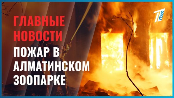 Животные алматинского зоопарка не пострадали в пожаре