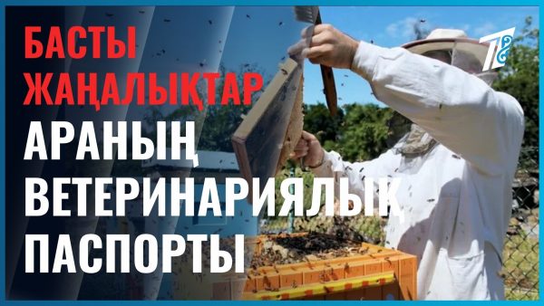 Енді араның да паспорты болады