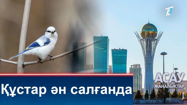 Құстар ән салғанда
