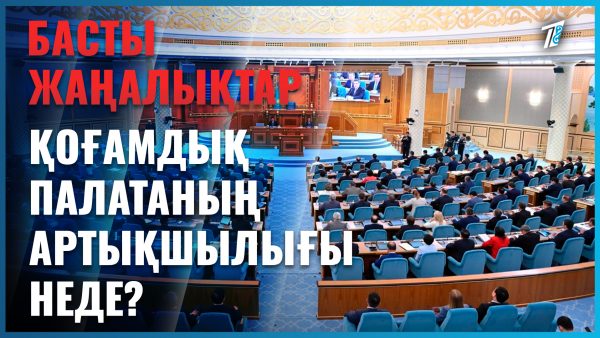 Қоғамдық палатаның артықшылығы неде?