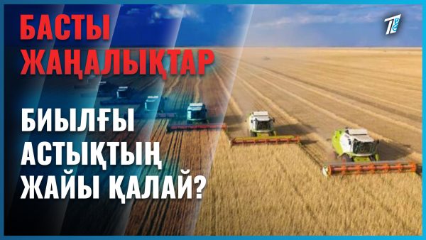 Биылғы астықтың жайы қалай?