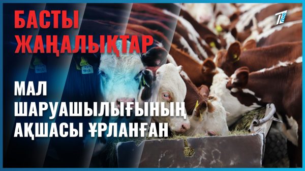Мал шаруашылығына бөлінген қаржы қолды болған
