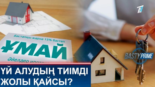 Үй алудың тиімді жолы қайсы?