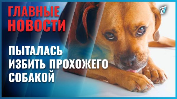 В Алматы полиция проверяет случай жестокого обращения со щенком