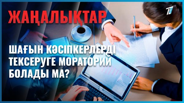 Шағын кәсіпкерлікті тексеруге мораторий жарияланбақ