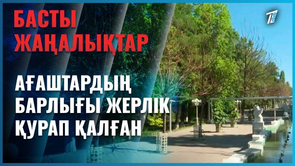 Көшеттер көктемей, қурады